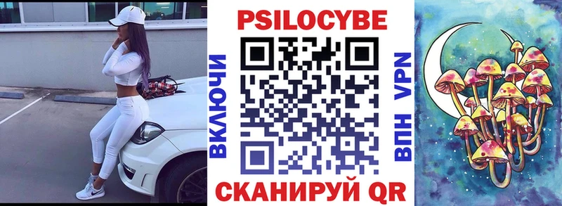 Купить где  Артёмовск  Псилоцибиновые грибы мицелий 